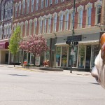 Downtown Setting: The downtown area in Big Rapids offers a small town feel to residents and visitors. Photo By: Kristyn Sonnenberg