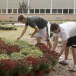 Planting for Helen : Ferris students are planting a garden in order to honor Helen Gillespie Ferris. The garden is located between the Alumni Building and the Prakken Building. Photo By: Kate Dupon | Photo Editor