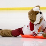 The Big Dawg: Brutus is the face of Ferris State and is involved in sporting events, visitor days and cultural events on campus. Photo By: Brock Copus | Photographer
