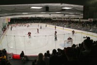 IMG_3665 IMG_3665