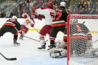 IMG_3686 IMG_3686