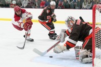 IMG_3692 IMG_3692