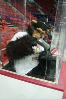 Hockey vs Cornell-7