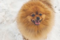 011613_winter7_tori